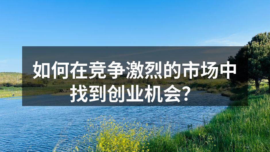 如何在竞争激烈的市场中找到创业机会？